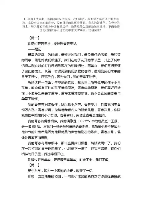 我的青春不迷茫高中作文800字