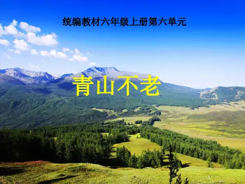 《青山不老》PPT完美课件1