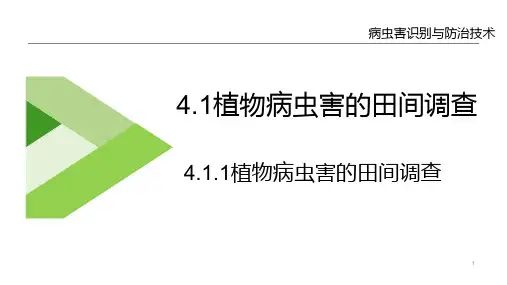 植物病虫害的调查统计与预测预报—植物病虫害的田间调查