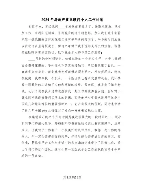 2024年房地产置业顾问个人工作计划（6篇）