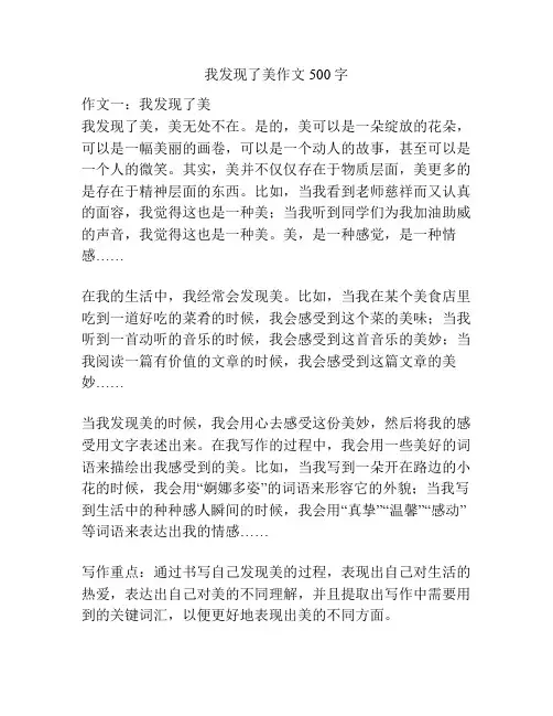 我发现了美作文500字