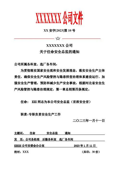 任命安全总监文件