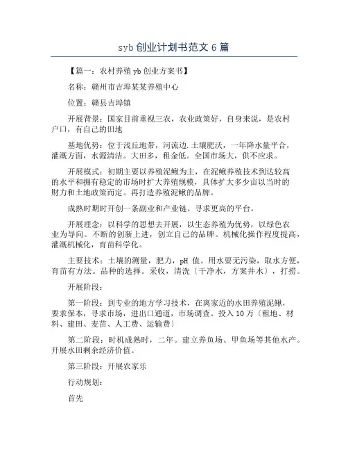 syb创业计划书范文6篇