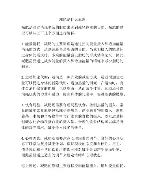 减肥是什么原理