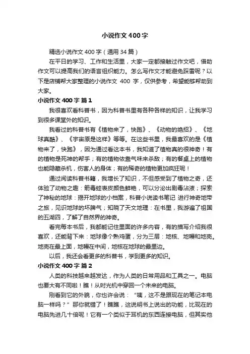 小说作文400字