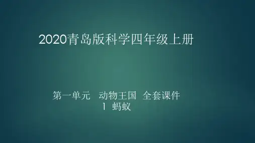 2020青岛版科学四年级上册第一单元动物王国全套课件