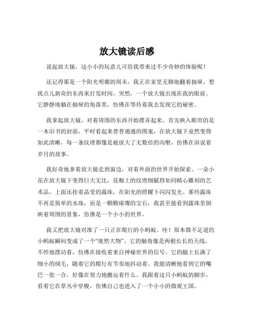放大镜读后感