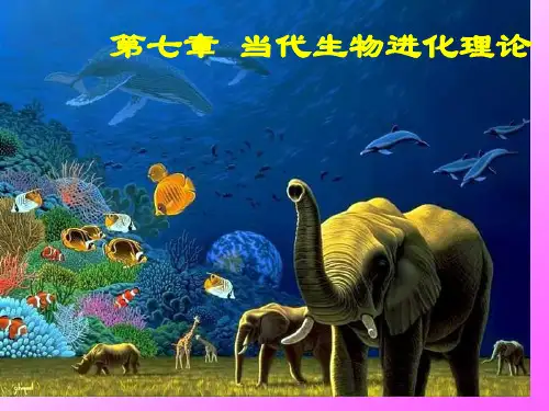 现代生物进化理论一轮复习公开课公开课获奖课件百校联赛一等奖课件