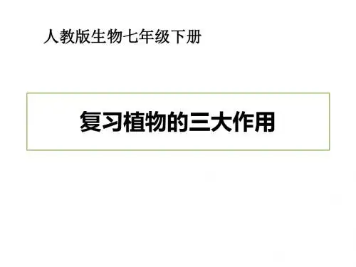 人教版七年级生物下册专题复习 植物的三大作用 课件(共39张PPT)