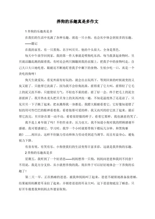 养狗的乐趣真是多作文