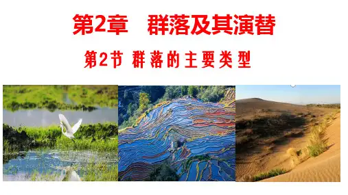 人教版2019高中生物选择性必修2 群落的主要类型