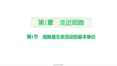 新教材人教版高中生物必修一 1-1 细胞是生命活动的基本单位 教学课件