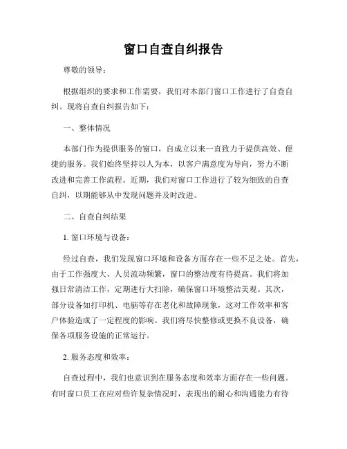 窗口自查自纠报告