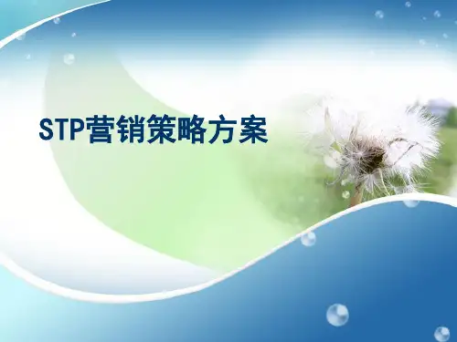 STP营销策略方案