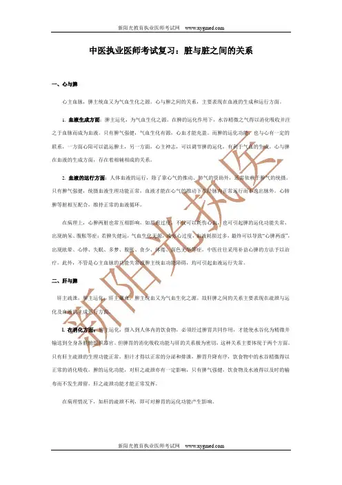 中医执业医师考试：脏与脏之间的关系