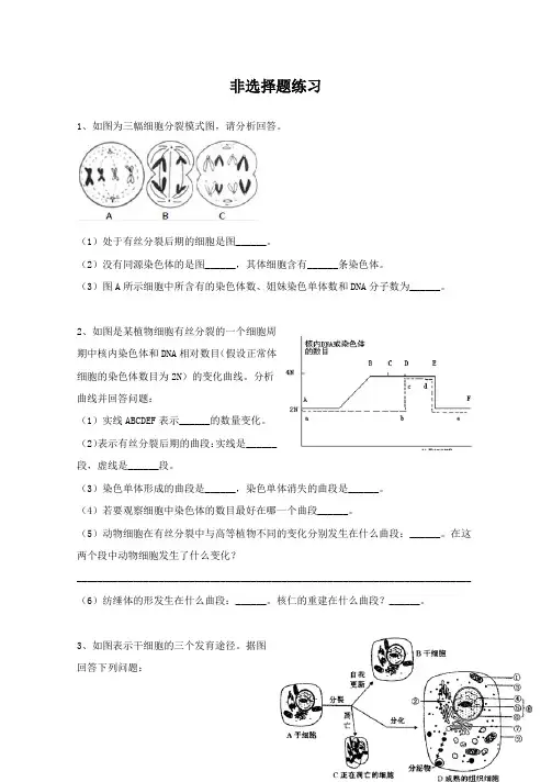 人教版生物必修二段考非选择题练习