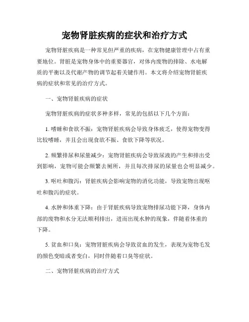 宠物肾脏疾病的症状和治疗方式