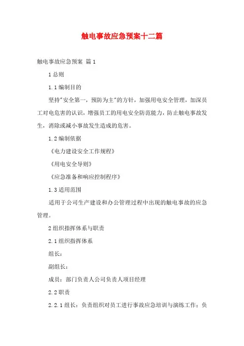 触电事故应急预案十二篇