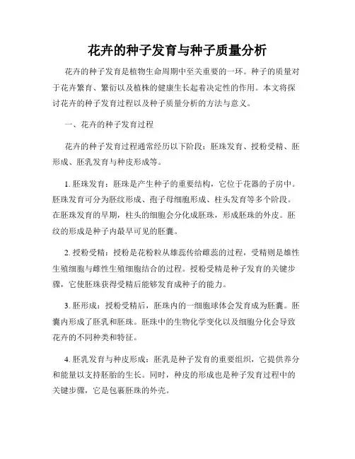 花卉的种子发育与种子质量分析