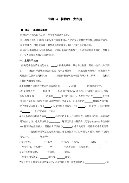 专题04 植物的三大作用-2021年中考生物必背知识挖空记(通用版)