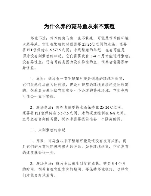 为什么养的斑马鱼从来不繁殖