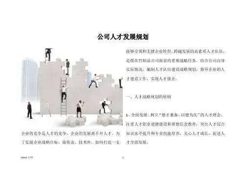 公司人才发展规划