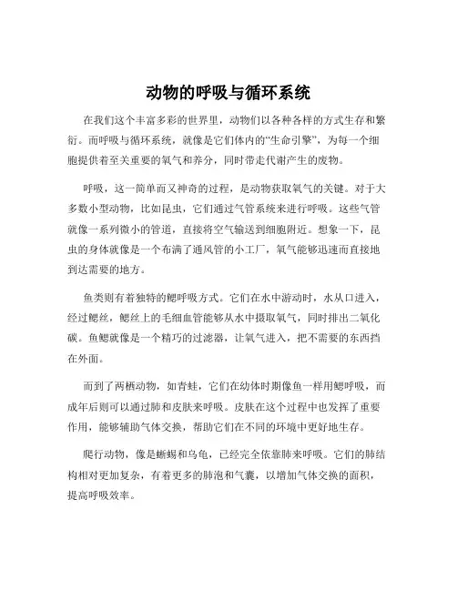 动物的呼吸与循环系统