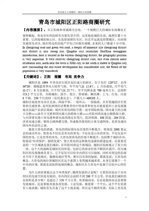 青岛市城阳区正阳路商圈研究