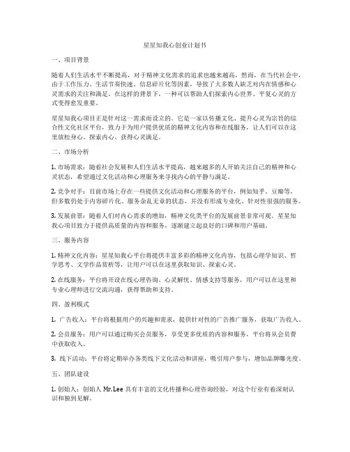 星星知我心创业计划书