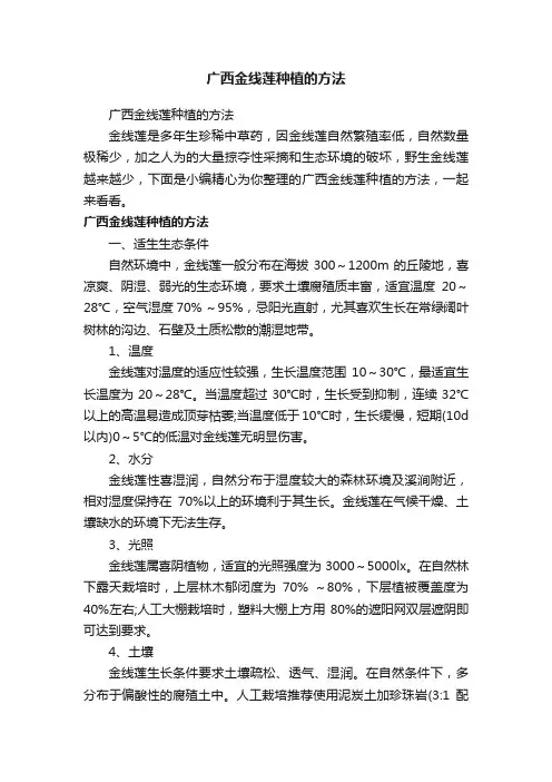 广西金线莲种植的方法
