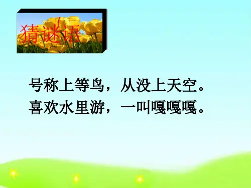 教科版二年级下册语文《智救小鸭子》教学课件