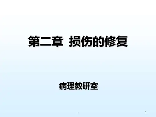 病理学-第二章损伤的修复PPT课件