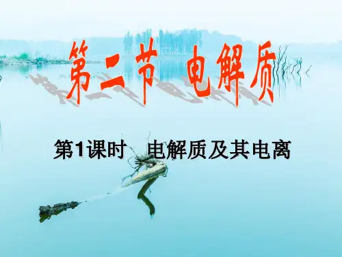 电解质及其电离PPT教学课件