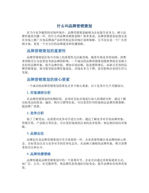 什么叫品牌营销策划