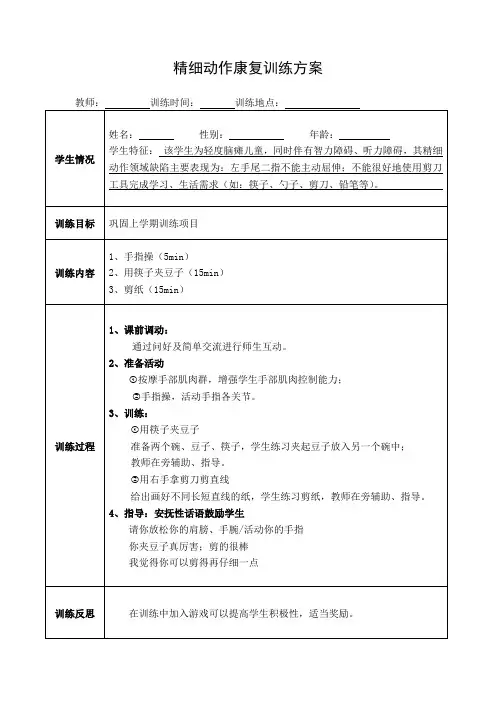 特殊教育-精细动作康复训练方案