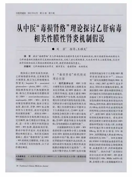 从中医“毒损肾络”理论探讨乙肝病毒相关性膜性肾炎机制假说