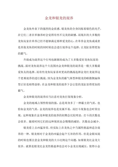 金龙和银龙的混养