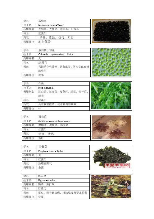 药用植物学分类列表