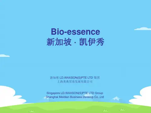 整店大包促销流程介绍(ppt 36页)