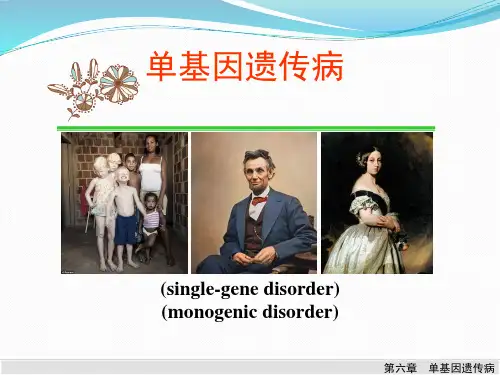 单基因遗传病PPT课件