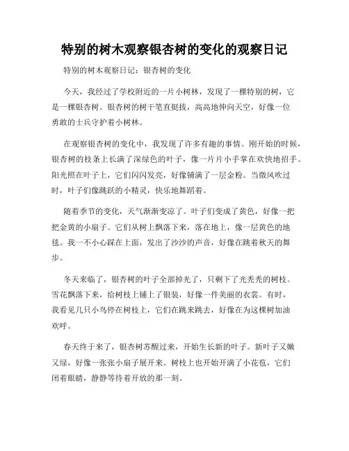 小学三年级作文特别的树木观察银杏树的变化的观察日记