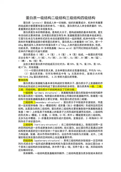 蛋白质一级结构二级结构三级结构四级结构