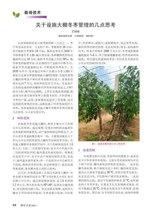 关于设施大棚冬枣管理的几点思考