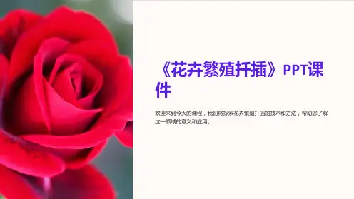《花卉繁殖扦插》课件