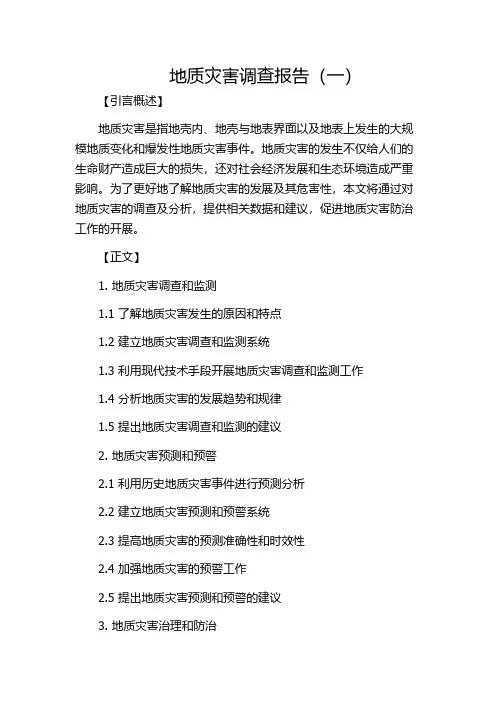 地质灾害调查报告(一)