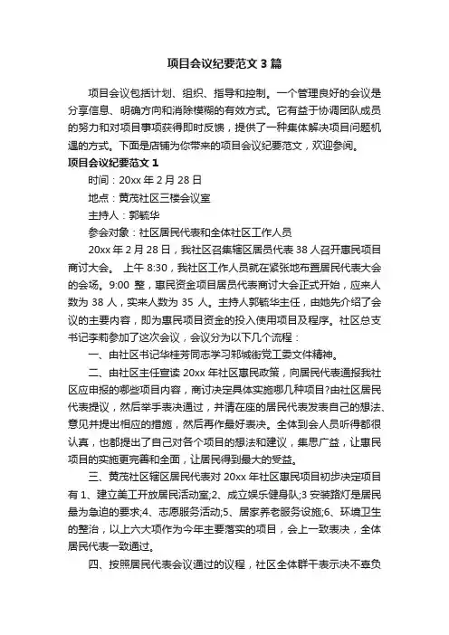 项目会议纪要范文3篇