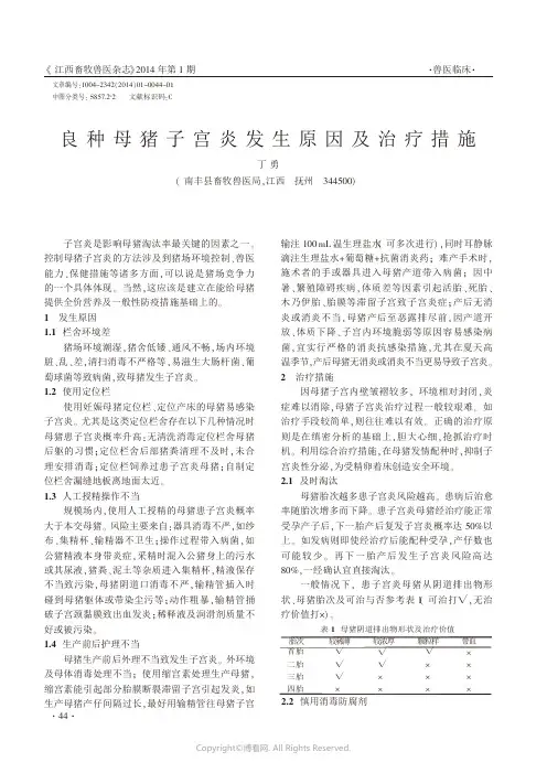 良种母猪子宫炎发生原因及治疗措施