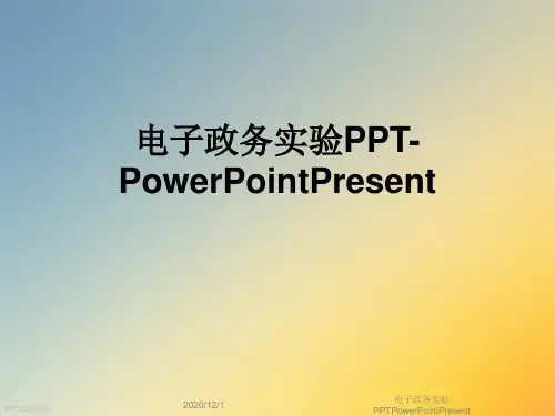电子政务实验PPTPowerPointPresent