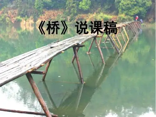 《桥》说课稿