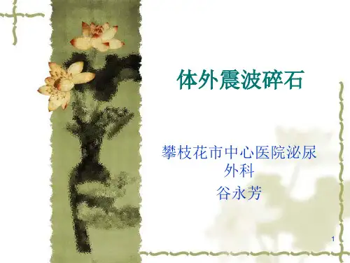 体外震波碎石PPT课件